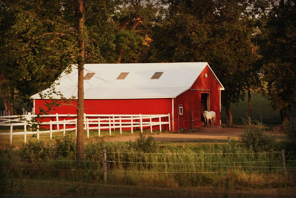 L'il Red Barn of the Week by farmreporter