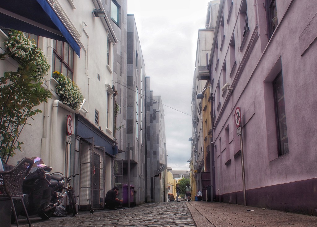 A narrow street in Cork! by happypat