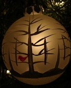 10th Dec 2010 - My favorite Ornament