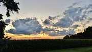 13th Aug 2016 - Sunset Over The Corn