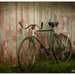 The old bike.. by julzmaioro