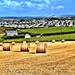 A Cornish Canvas - Harvest Time by ajisaac