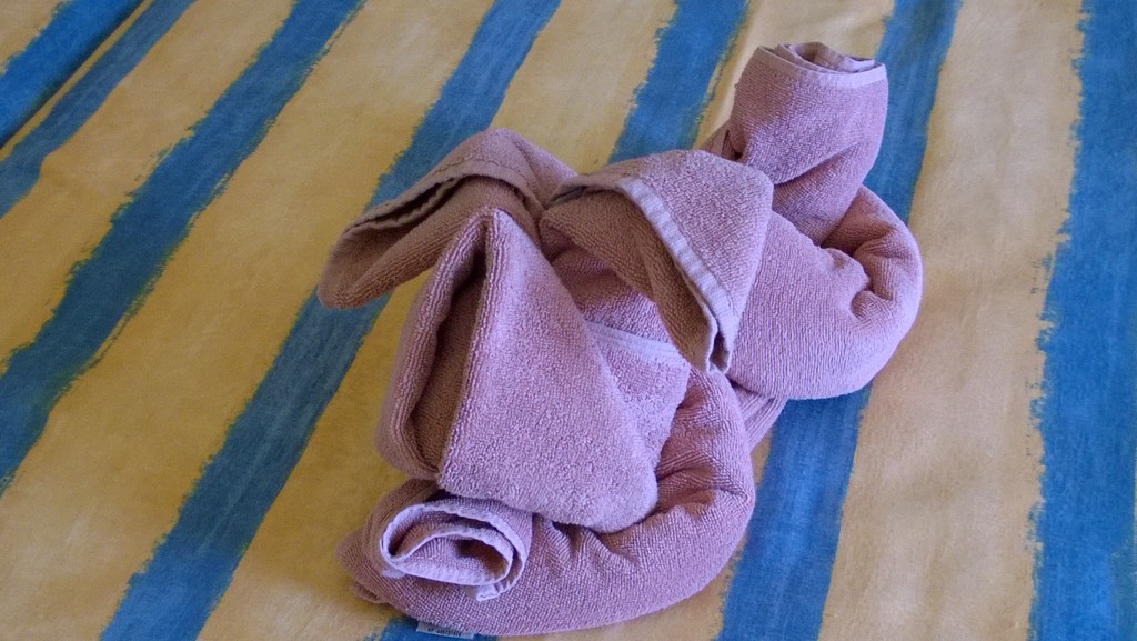 Towel dog or rabbit? by cataylor41