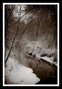11th Dec 2010 - Snowy Silence