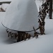 Snowstorm by dakotakid35
