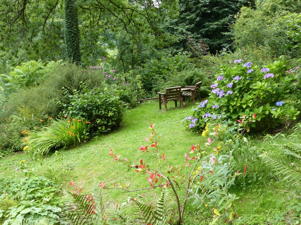  A Quiet Corner of the Garden by susiemc