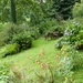  A Quiet Corner of the Garden by susiemc