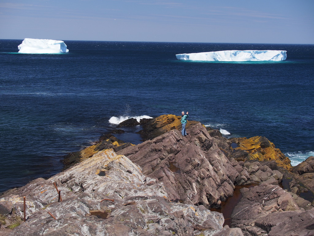 Icebergs off Cape Spear by selkie