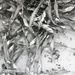 Metal sawdust on white by ingrid01