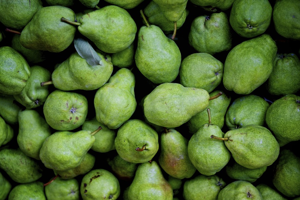 Pears by kwind