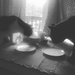 Cat tea party  by gratitudeyear