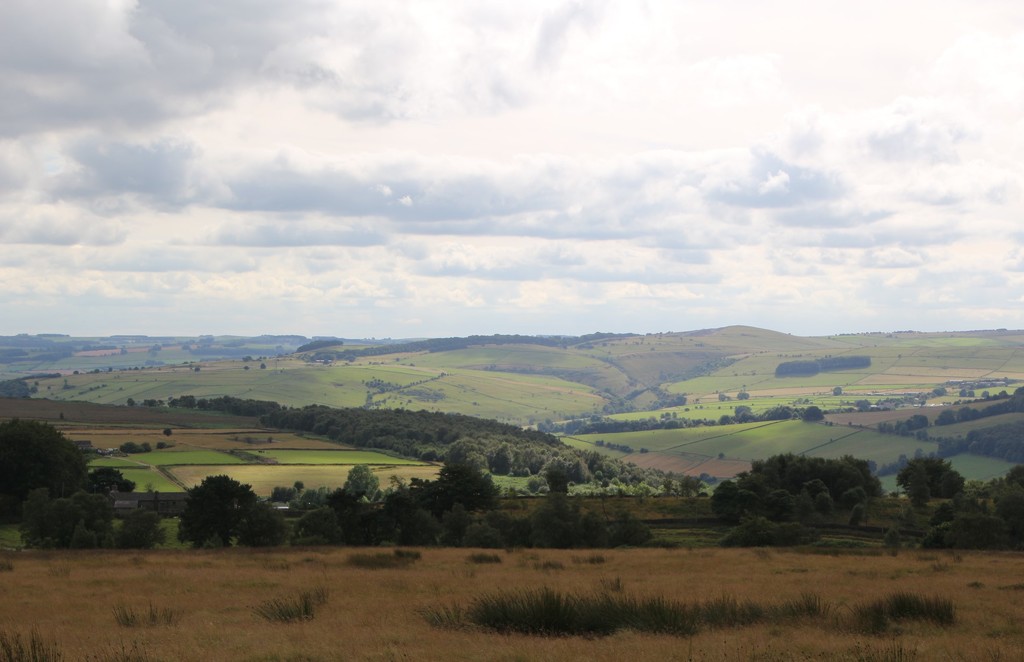 View From Longshaw Estate by oldjosh