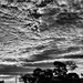 Black & White Clouds by leestevo