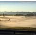 Morning mist by yorkshirekiwi