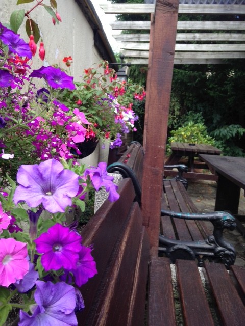 Floral display 'Black Horse' beer garden.  by denidouble