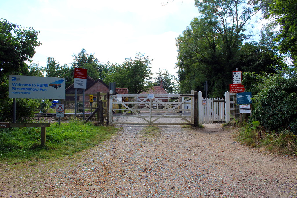 Welcome to Strumpshaw Fen by jeff