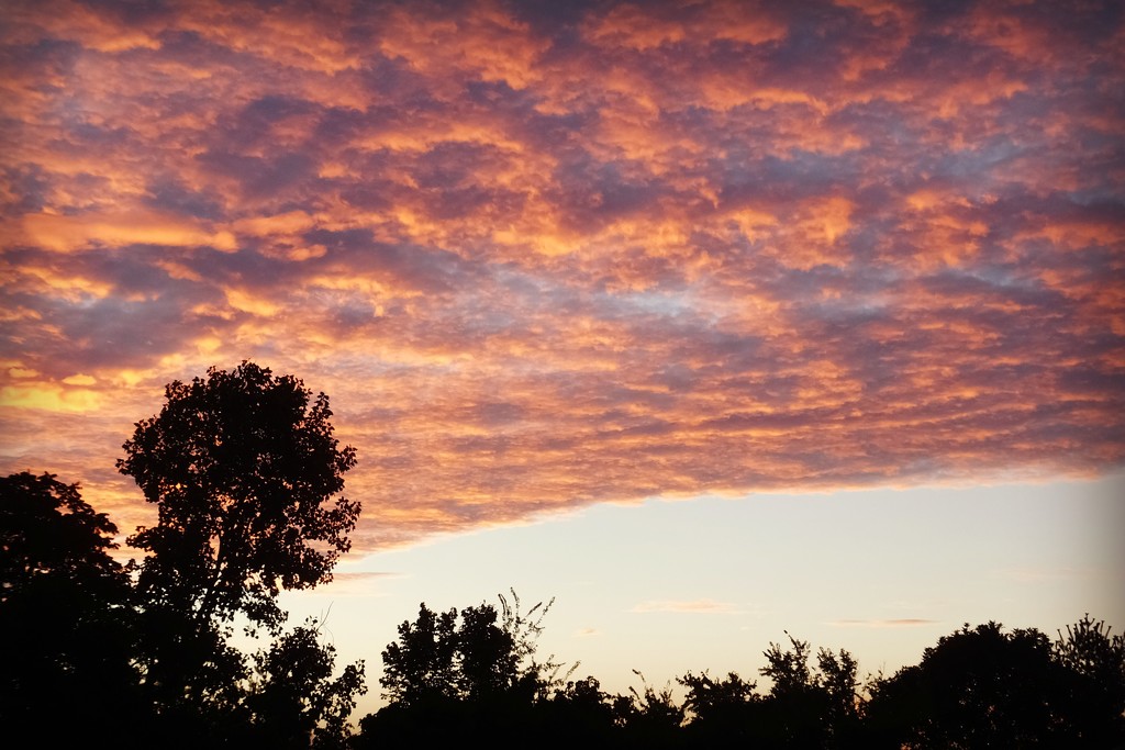 Morning Sky 1 by linnypinny