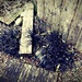 Driftwood Corner by ajisaac