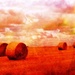 Vintage Harvest Fields by ajisaac
