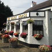16th Aug 2016 - My 'local' The Black Horse. 