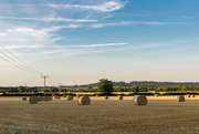 15th Aug 2016 - Addicted to Bales! 