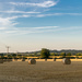 Addicted to Bales!  by rjb71