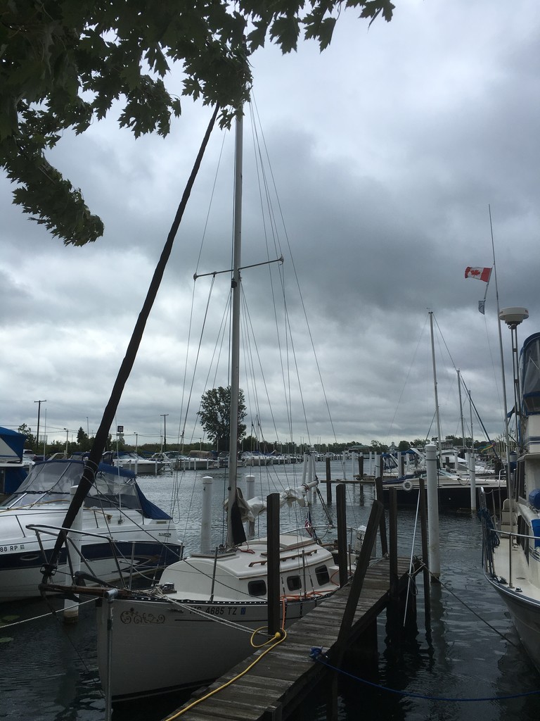 Back at the dock by corktownmum