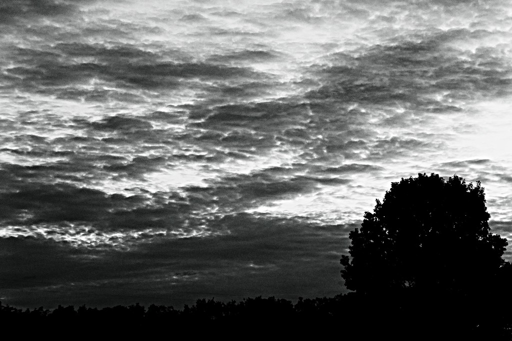 Morning Sky 2 by linnypinny