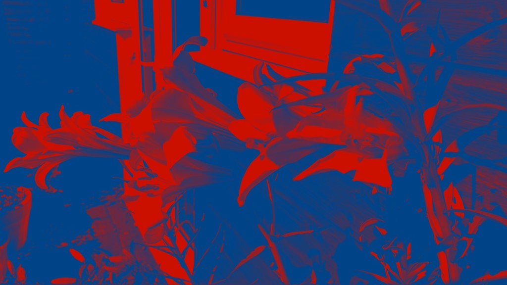 Playing with a photo of lilies by cpw