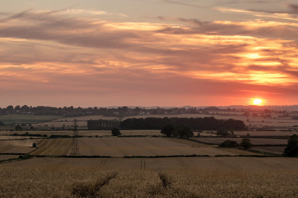 Sunset Harvest by rjb71