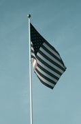 22nd Jul 2016 - American Flag
