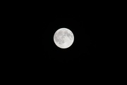 17th Aug 2016 - August Full Moon