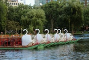 17th Aug 2016 - Swan Boats at End of Day