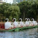 Swan Boats at End of Day by deborahsimmerman