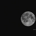 Peaceful full moon by evalieutionspics