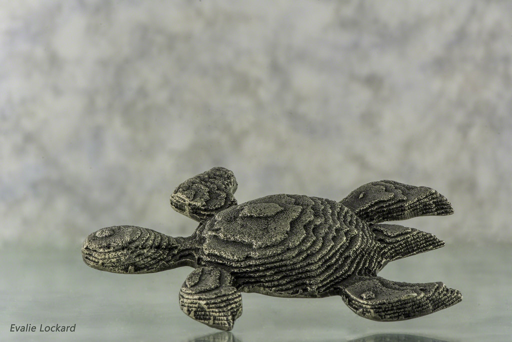 Turtle Brooch by evalieutionspics
