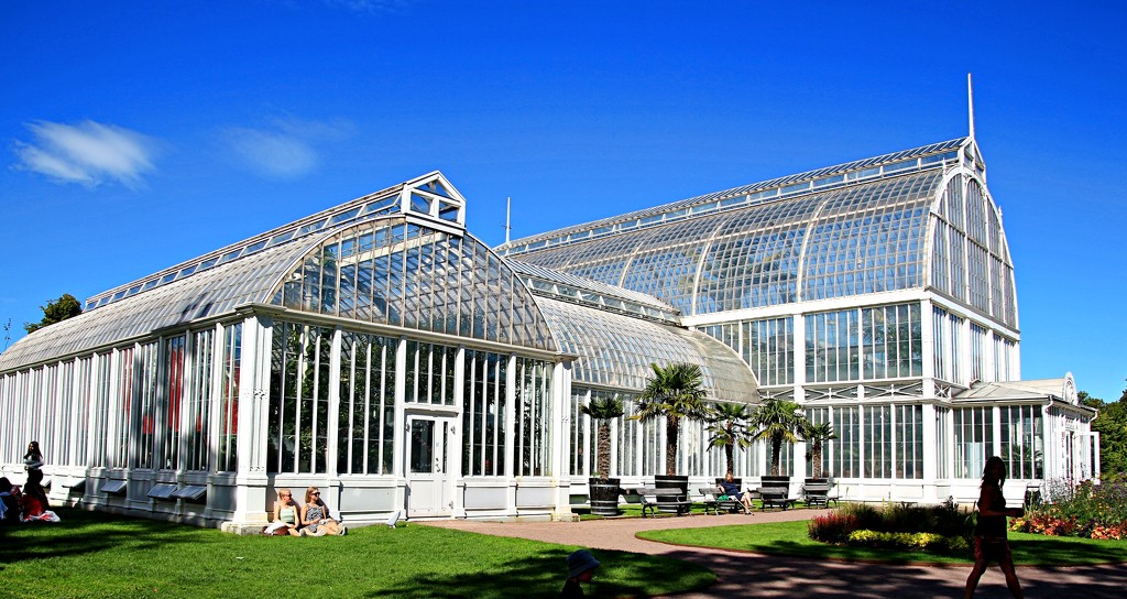 Gothenburg's botanic gardens greenhouse by kiwinanna