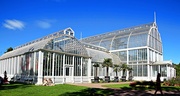 17th Aug 2016 - Gothenburg's botanic gardens greenhouse