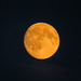 18/08/16 Fire moon... by m2016