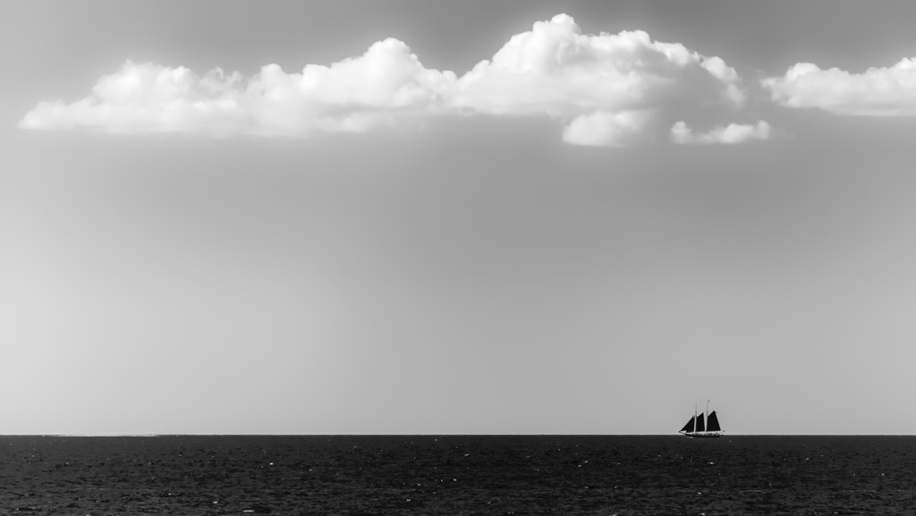 A Tall Ship Goes By by taffy