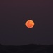 Moonrise by yorkshirekiwi