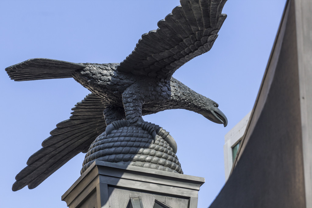 Eagle of Eagle Gate by hjbenson