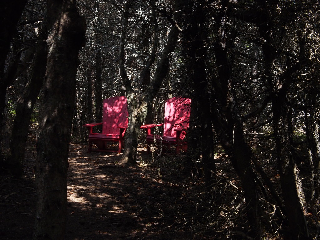 Secluded Red Chairs by selkie