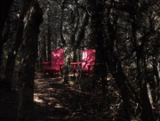 28th Jun 2016 - Secluded Red Chairs