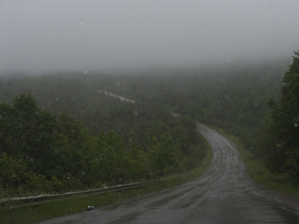 Foggy Newfoundland by selkie