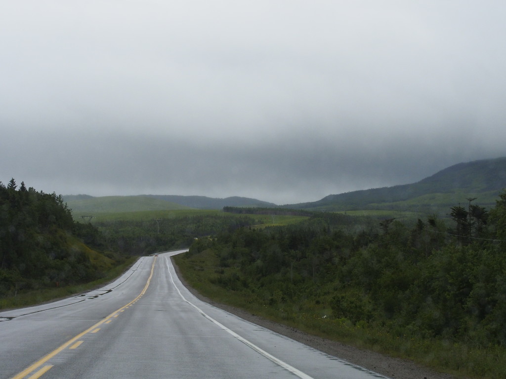 On the Road to Port aux Basques 2 by selkie