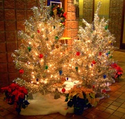 12th Dec 2010 - Light up the tree