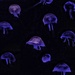Jellyfish Martians by jesperani