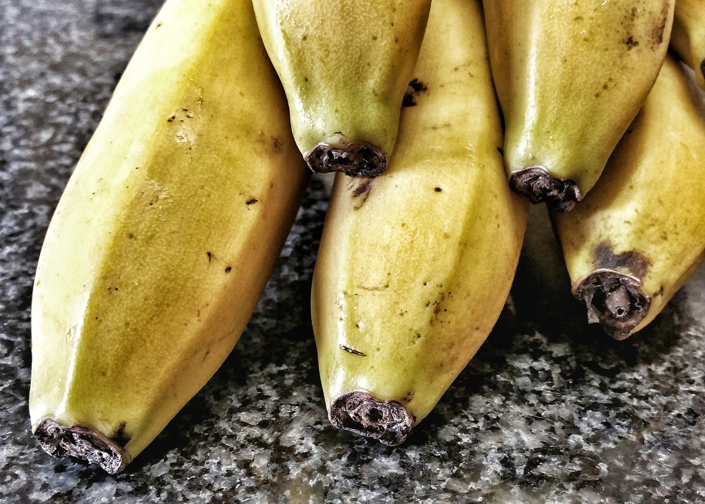 Banana bunch by salza