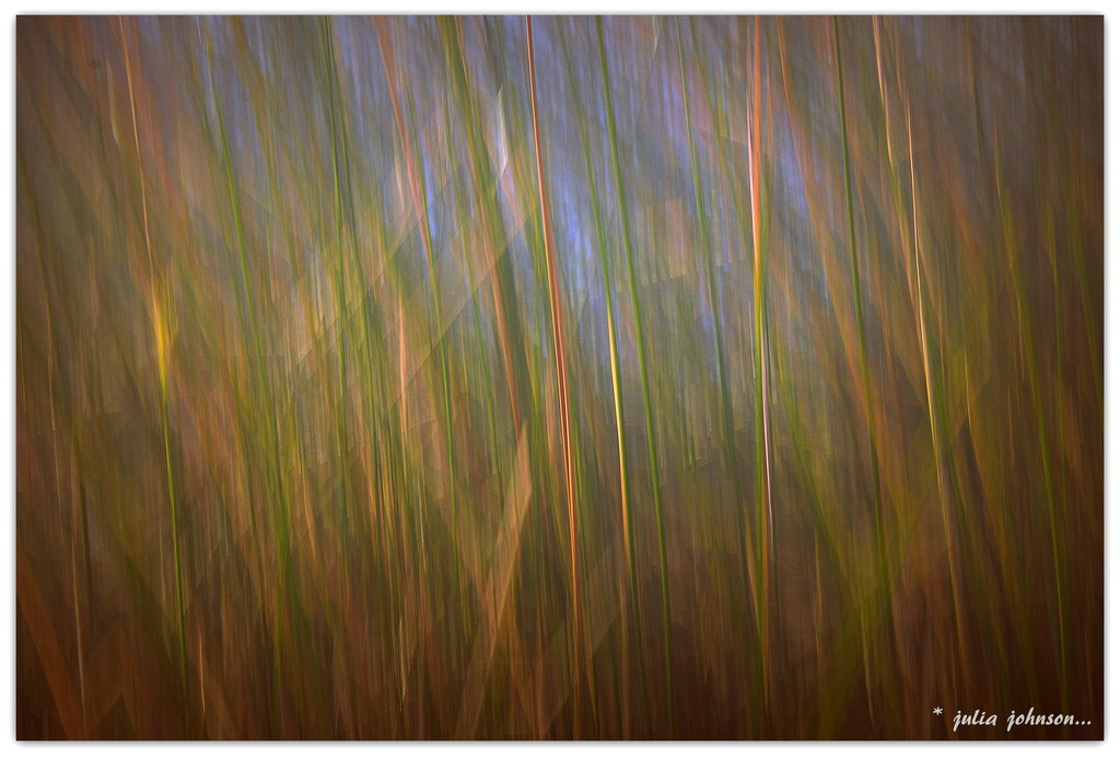 Abstract River Reeds... by julzmaioro